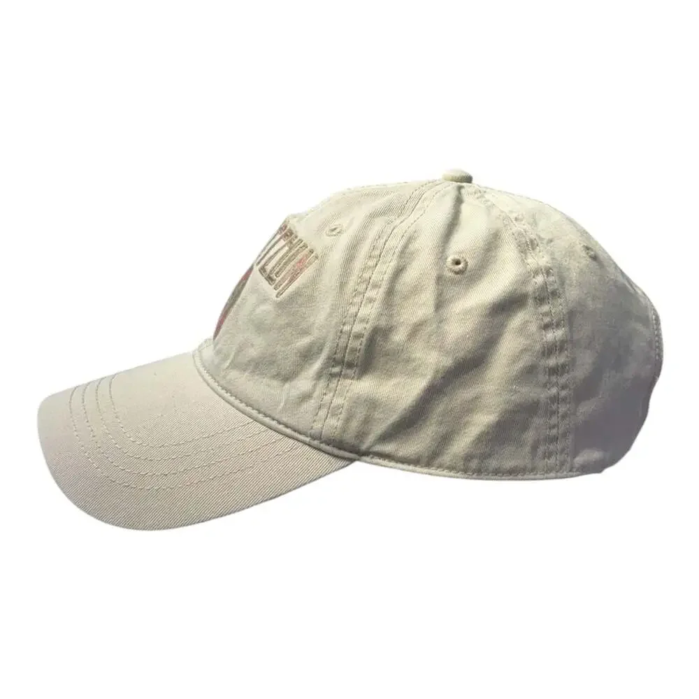 American Eagle Led Zeppelin Beige Dad Cap Baseball Hat